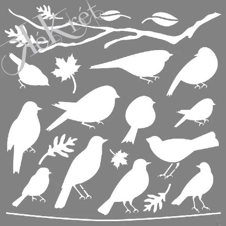 MADARAK Stencil , 30,5X30,5cm, Rayher