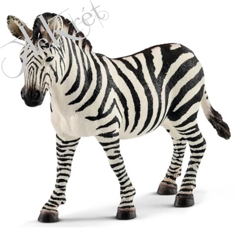 ZEBRA, KANCA SCHLEICH