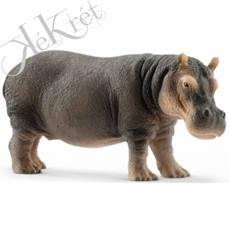 VÍZILÓ, Schleich