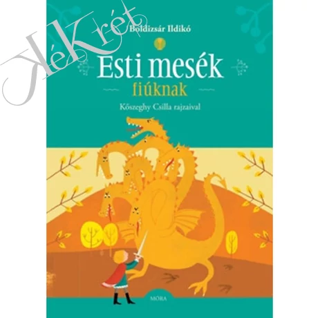 Bolizsár Ildikó: ESTI MESÉK FIÚKNAK