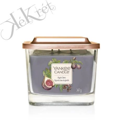 FIG & CLOVE KÖZEPES ÜVEGGYERTYA, Yankee Candle