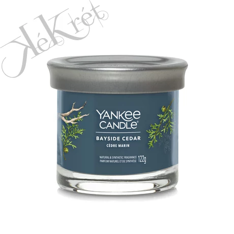 BAYSIDE CEDAR SIGNATURE KIS POHARAS GYERTYA, Yankee Candle