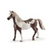 PAINT HORSE PARIPA, SCHLEICH