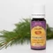 100% TISZTASÁGÚ CÉDRUSFA ILLÓOLAJ, Goloka, 10ml