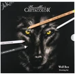 CRETACOLOR WOLF BOX FEKETE-FEHÉR RAJZKÉSZLET, 25 DB-OS, FÉMDOBOZOS