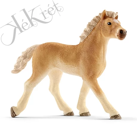 HAFLINGI CSIKÓ, Schleich