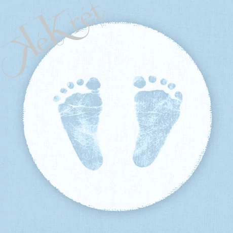 BABY STEPS BOY papírszalvéta 25x25cm